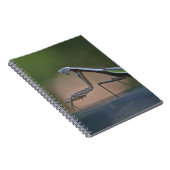 Praying Mantis Notizblock (Rechte Seite)