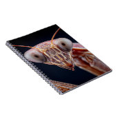 Praying Mantis Portrait-Notebook Notizblock (Rechte Seite)