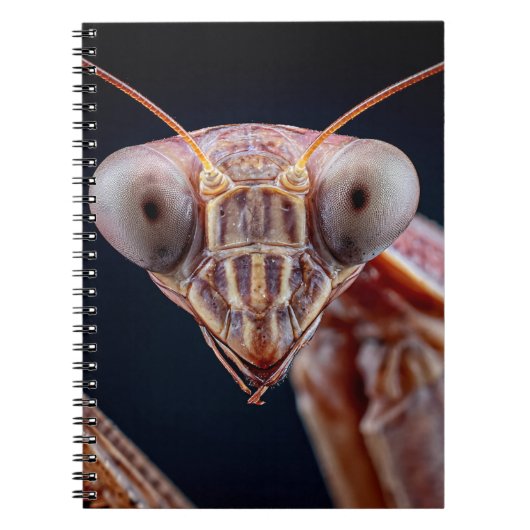 Praying Mantis Portrait-Notebook Notizblock (Vorderseite)