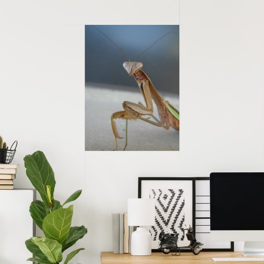 Praying Mantis Poster (Heimbüro)