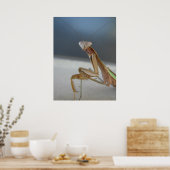Praying Mantis Poster (Küche)