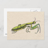 Praying Mantis Postkarte (Vorne/Hinten)