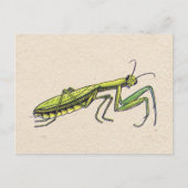 Praying Mantis Postkarte (Vorderseite)