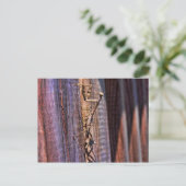 Praying Mantis Postkarte (Stehend Vorderseite)