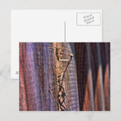 Praying Mantis Postkarte (Vorne/Hinten)