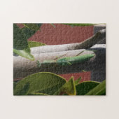 Praying Mantis Puzzle (Horizontal)