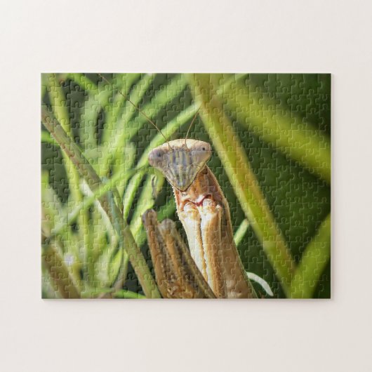 Praying Mantis Puzzle (Horizontal)