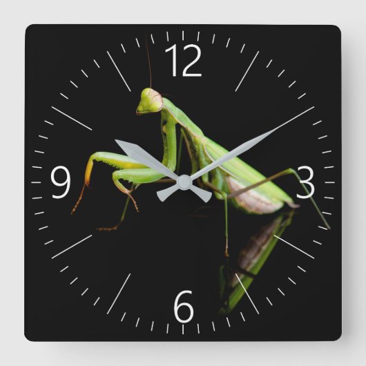 Praying mantis quadratische wanduhr (Vorderseite)