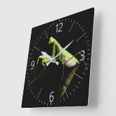 Praying mantis quadratische wanduhr (Winkel)