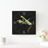 Praying mantis quadratische wanduhr (Zuhause)