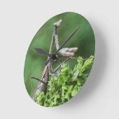 praying mantis runde wanduhr (Winkel)