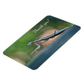Praying Mantis Vielen Dank Magnet (Linke Seite)