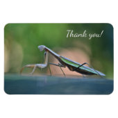 Praying Mantis Vielen Dank Magnet (Horizontal)