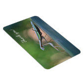 Praying Mantis Vielen Dank Magnet (Rechte Seite)
