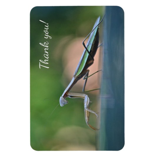 Praying Mantis Vielen Dank Magnet (Vertikal)