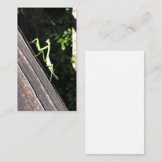 Praying Mantis Visitenkarte (Vorne/Hinten)