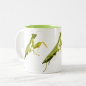 Praying Mantis Zweifarbige Tasse (Vorderseite Links)
