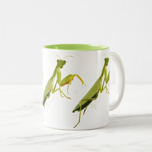 Praying Mantis Zweifarbige Tasse (VorderseiteRechts)