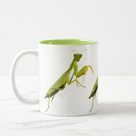 Praying Mantis Zweifarbige Tasse (Links)