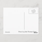 Preacher Man Postcard Postkarte (Rückseite)