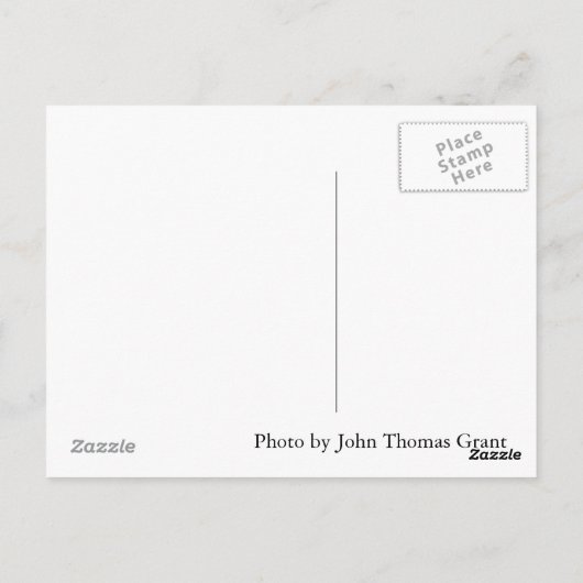 Preacher Man Postcard Postkarte (Rückseite)