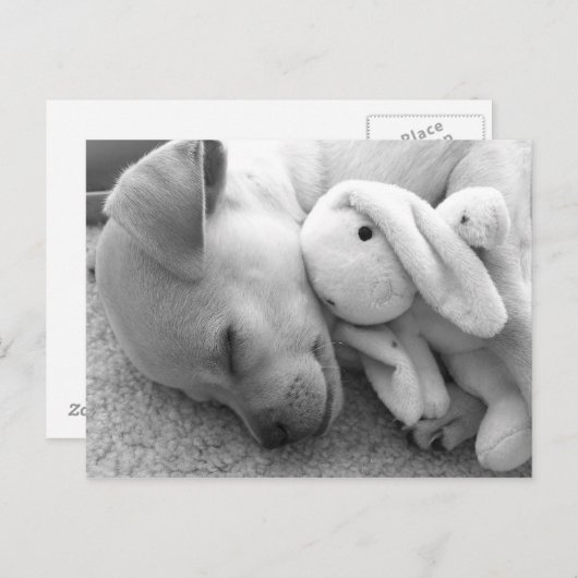 PRECIOUS PUPPY MOMENT POSTKARTE (Vorne/Hinten)