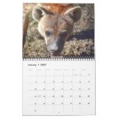 Predator-Kalender Kalender (Jan 2027)