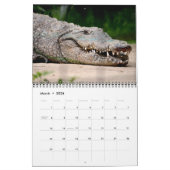 Predator-Kalender Kalender (Mär 2026)