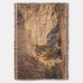 Predator Lion in Südafrika Decke (Vorderseite Vertikal)