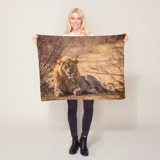 Predator Lion in Südafrika Fleecedecke (Beispiel)