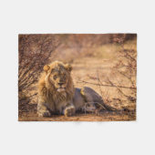 Predator Lion in Südafrika Fleecedecke (Vorderseite (Horizontal))