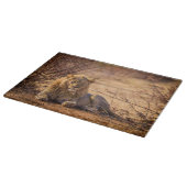 Predator Lion in Südafrika Schneidebrett (Ecke)