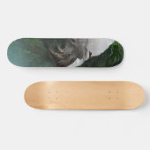 predator skateboard deck (Horizontal)