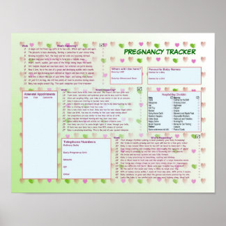 Predicancy Tracker Poster