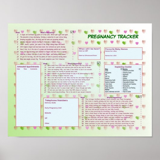 Predicancy Tracker Poster (Vorne)