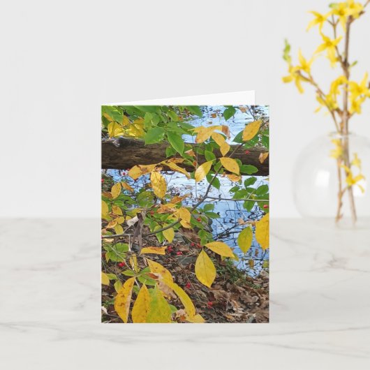 Prediger 3:1 karte (Gelbe Blume)