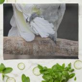 Preening Cockatoo Küchentuch (Gefaltet)