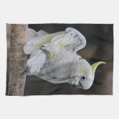 Preening Cockatoo Küchentuch (Horizontal)