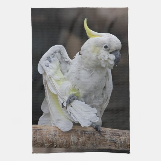 Preening Cockatoo Küchentuch (Vertikal)