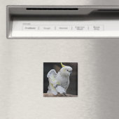Preening Cockatoo Magnet (In Situ (Geschirrspüler))