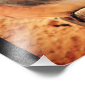 Preening Dove Fotodruck (Ecke)