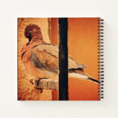 Preening Dove Notizblock (Rückseite)