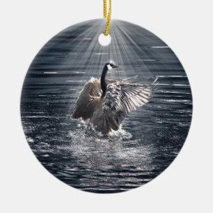 Preening, Flapping Canada Goose Foto Keramik Ornament