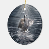 Preening, Flapping Canada Goose Foto Keramik Ornament (Links)
