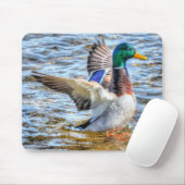 Preening Mallard Duck Birdlover Wildlife Mousepad (Mit Mouse)