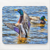 Preening Mallard Duck Birdlover Wildlife Mousepad (Vorne)