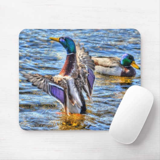 Preening Mallard Duck Birdlover Wildlife Mousepad (Mit Mouse)