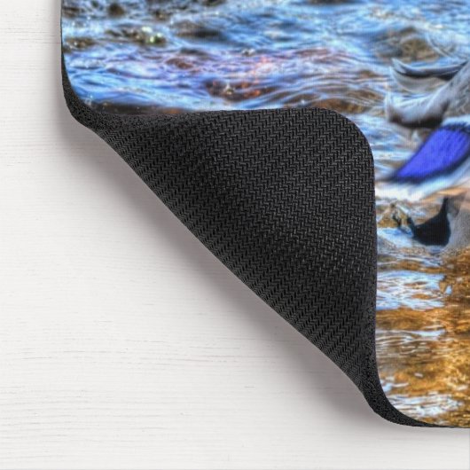 Preening Mallard Duck Birdlover Wildlife Mousepad (Ecke)