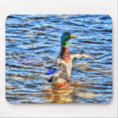 Preening Mallard Duck Birdlover Wildlife Mousepad (Vorne)