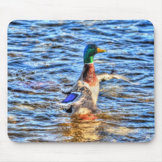 Preening Mallard Duck Birdlover Wildlife Mousepad (Vorne)